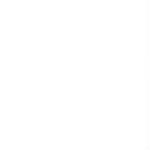 C W Sellors Promo Codes