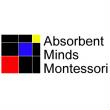 Absorbent Minds Discount Code
