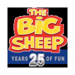 The BIG Sheep Promo Codes