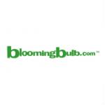 Bloomingbulb.com Promo Codes
