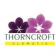Thorncroft Clematis Discount Code