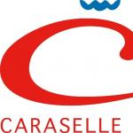 Caraselle Direct Promo Codes