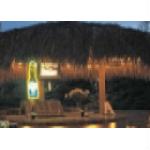 Tiki Shack Importer Promo Codes