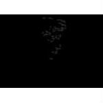 Profile Fashion Promo Codes