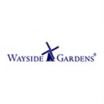 Wayside Gardens Promo Codes